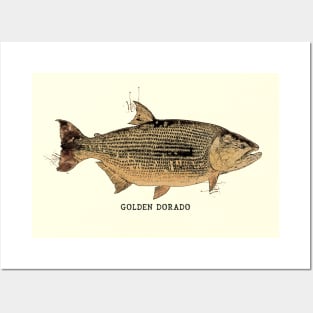 GOLDEN DORADO Vintage Art Sketch for the Fishing Lovers and Anglers Posters and Art